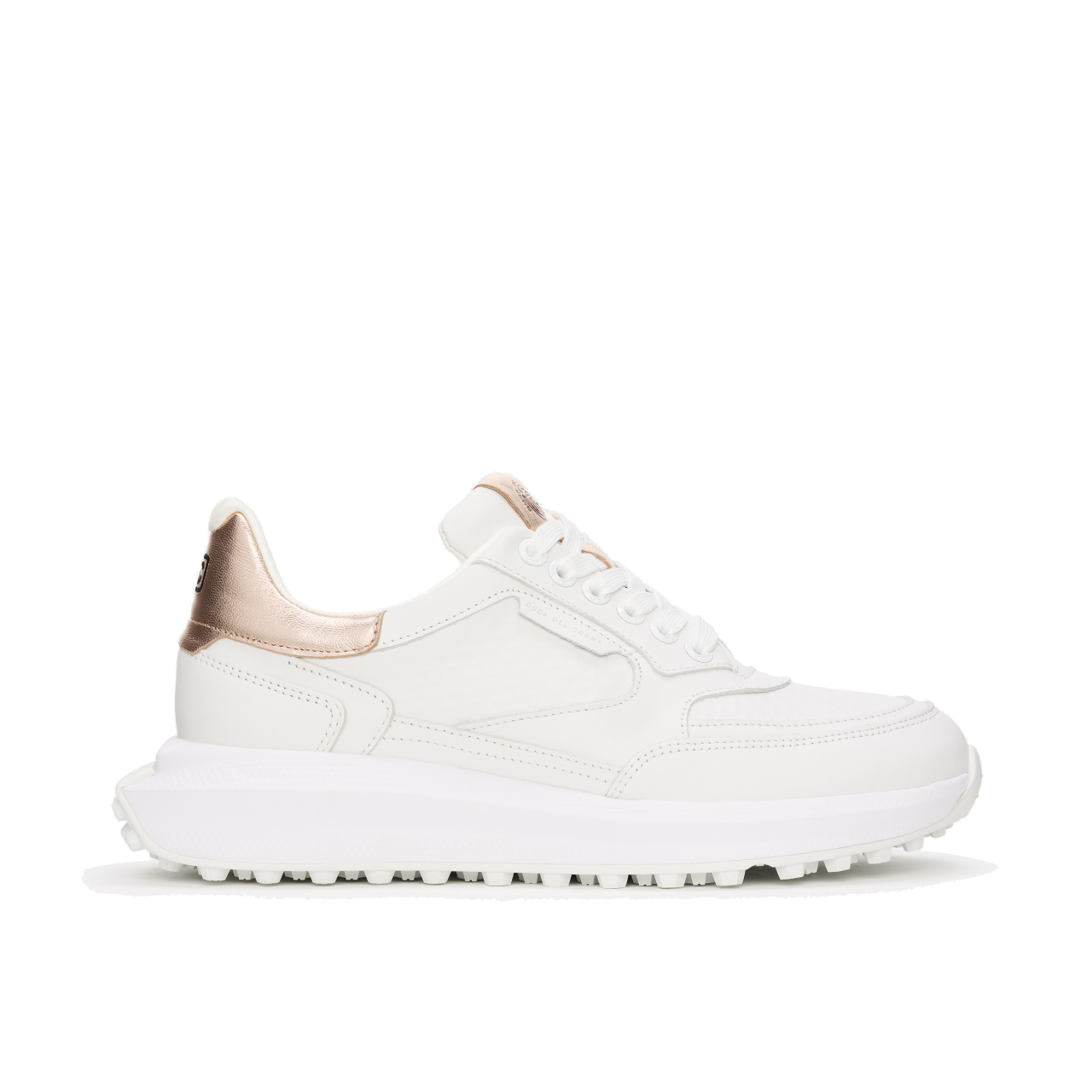 DCG240091 Olivera 2 White Rose